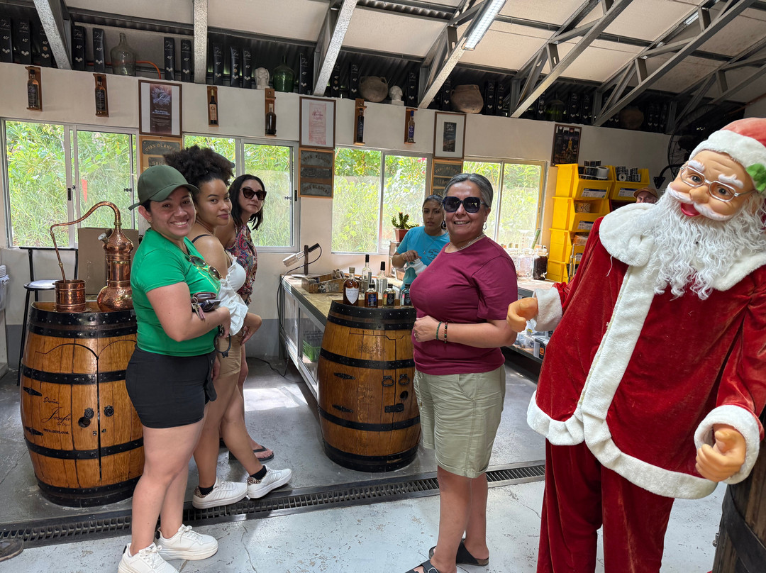 Doña Josefa de Elqui - Pisco Artesanal-Pisco Elqui必去景点