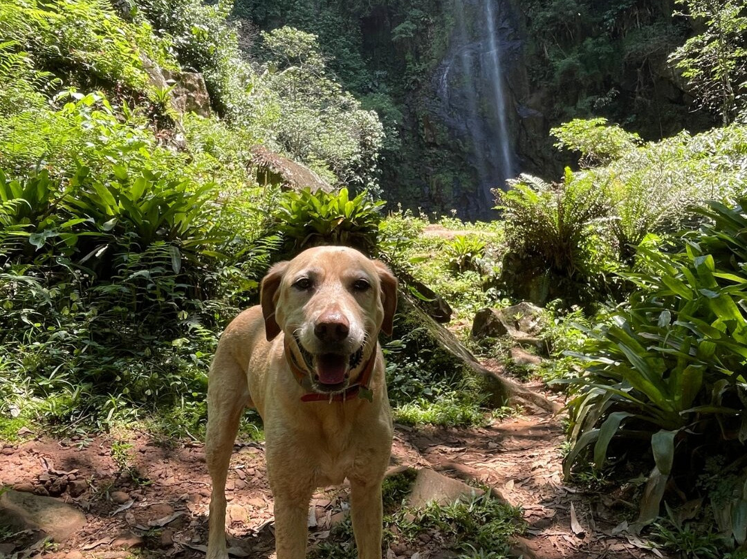 Cachoeira Magia Das Águas-Praia Grande必去景点