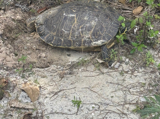Jupiter Outdoor Center (joc)-朱庇特必去景点