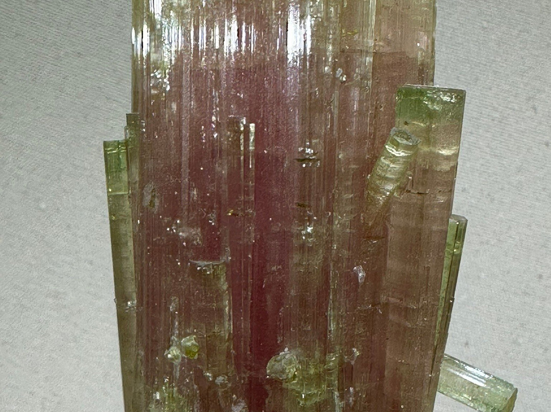 安徽省地质博物馆-合肥市必去景点