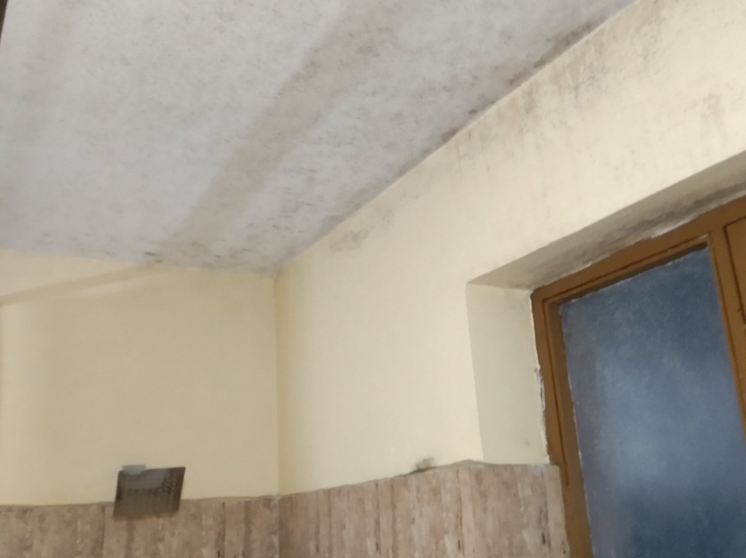 Glacier Resort主图