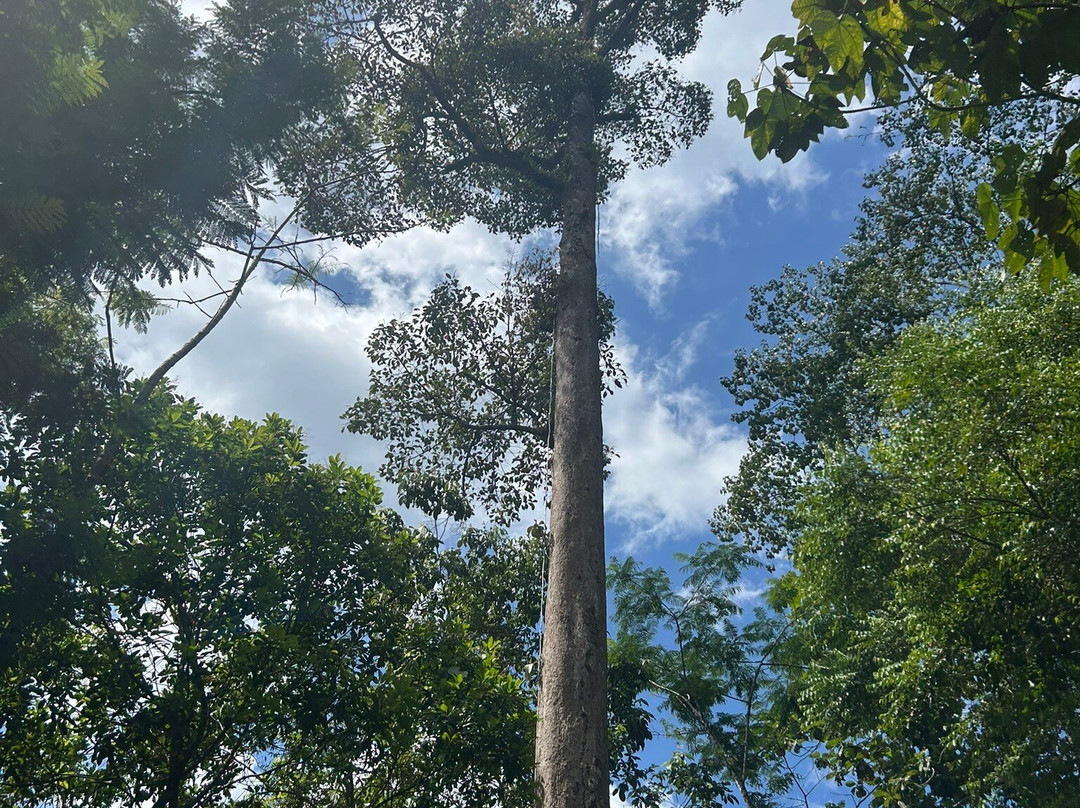 Ton Chong Fa Waterfall-拉克山必去景点