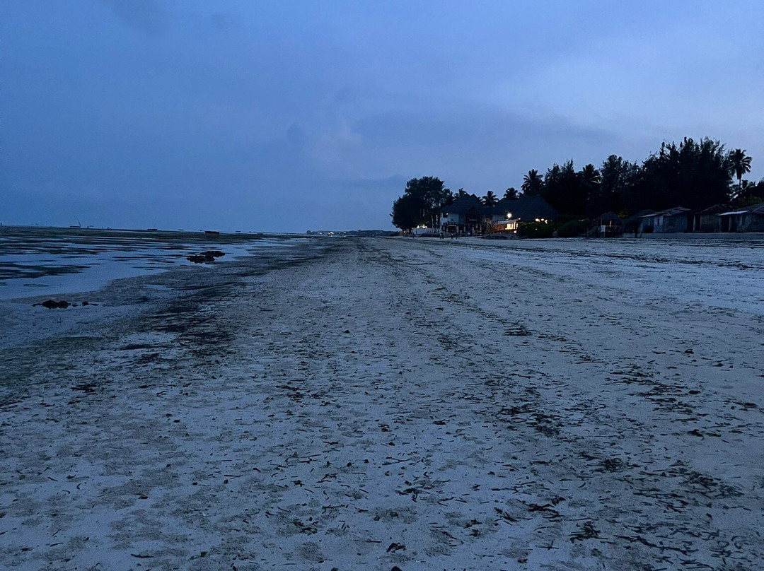 Jambiani Beach-江比阿尼必去景点