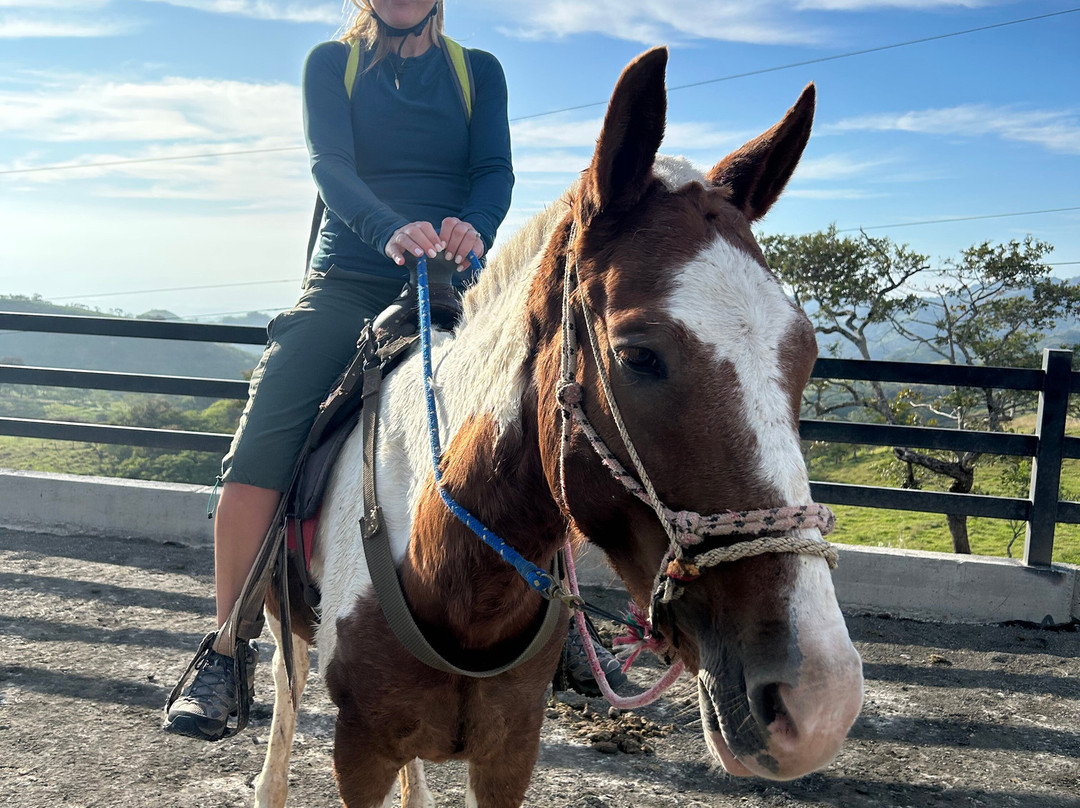 MonteTours-蒙特沃德必去景点