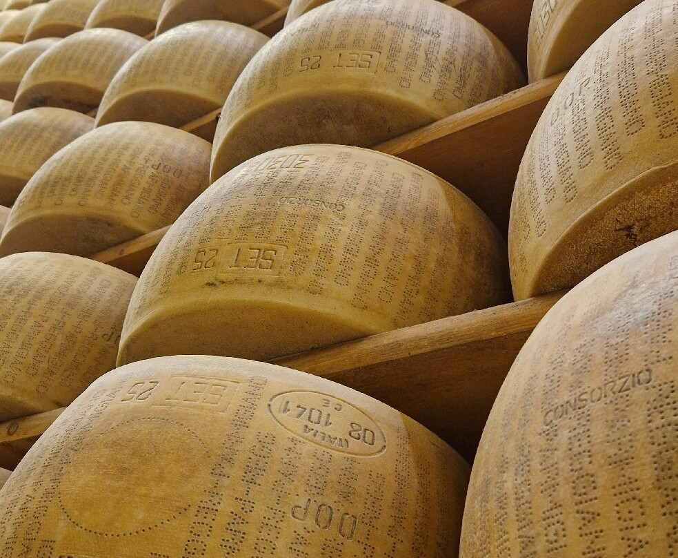 Azienda Agricola Bertinelli-Medesano必去景点