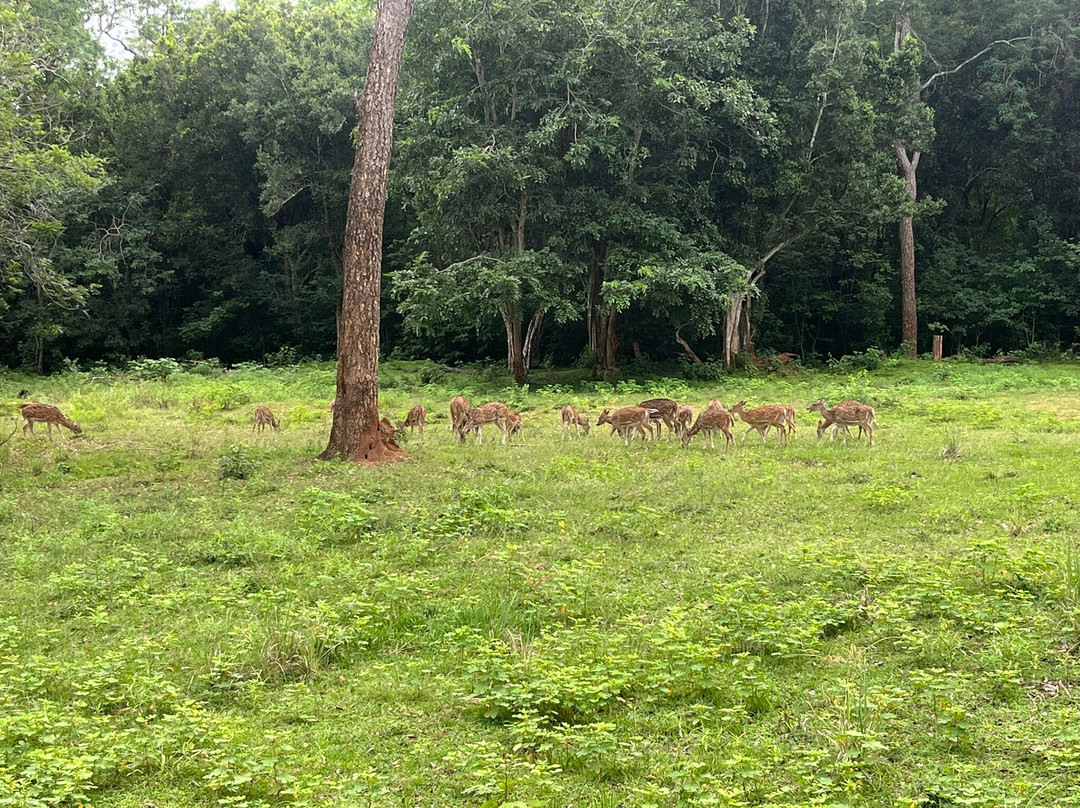 Sigiritrip Tours-锡吉里亚必去景点