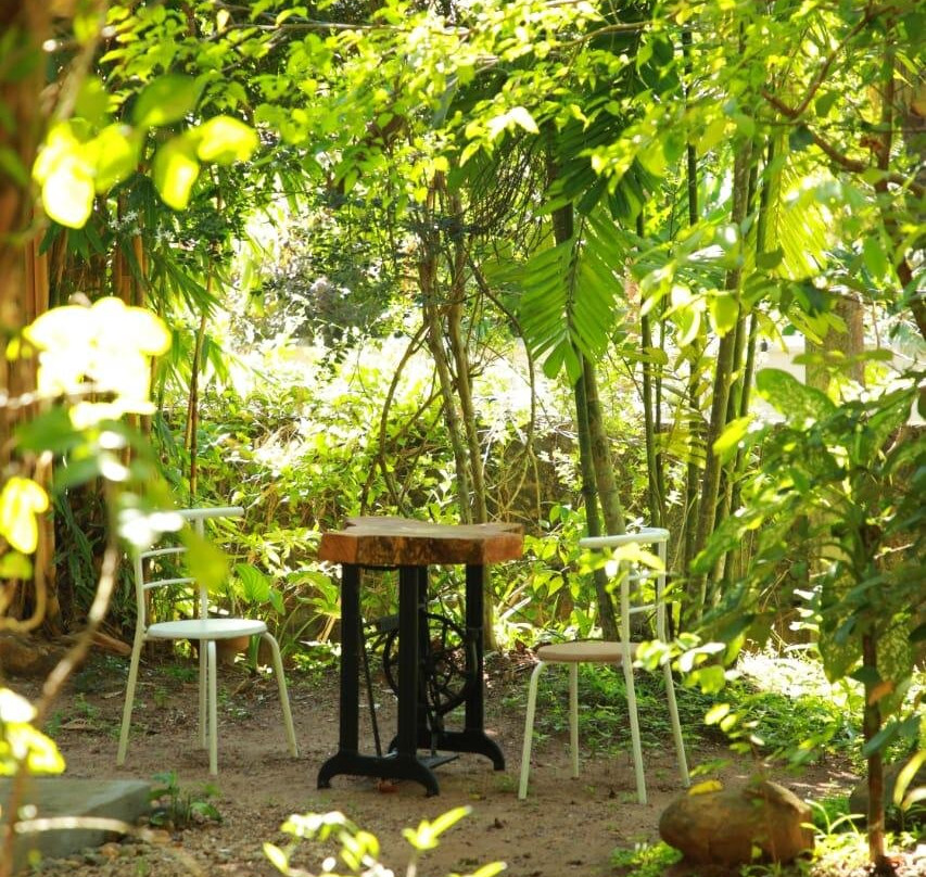 Fat burn Grill & Salad