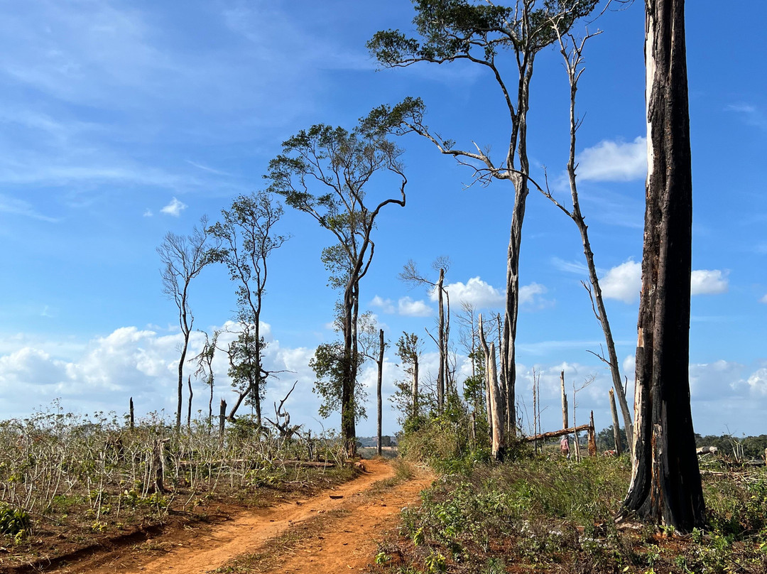 Banlung Nature Trekking Tours-邦隆必去景点