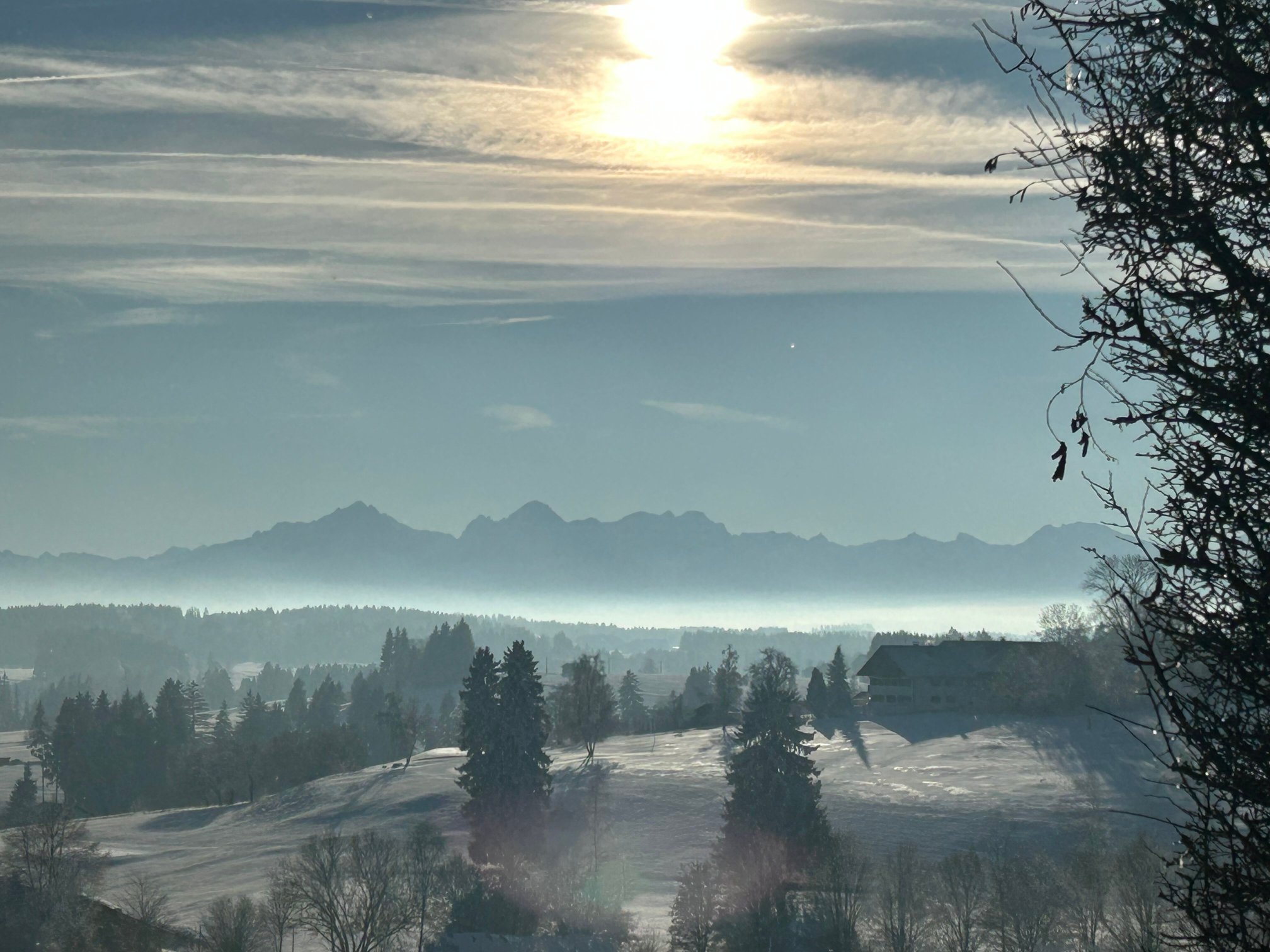 Auf der Gsteig GmbH-酒店景观