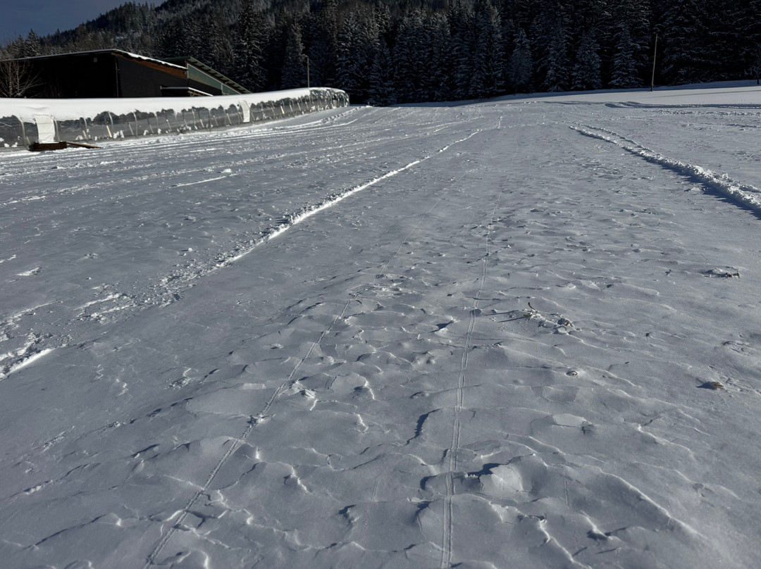 Wohlfuehlresort Martinerhof主图