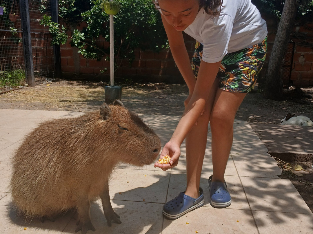 Museo Acuario Federacion-Federación必去景点