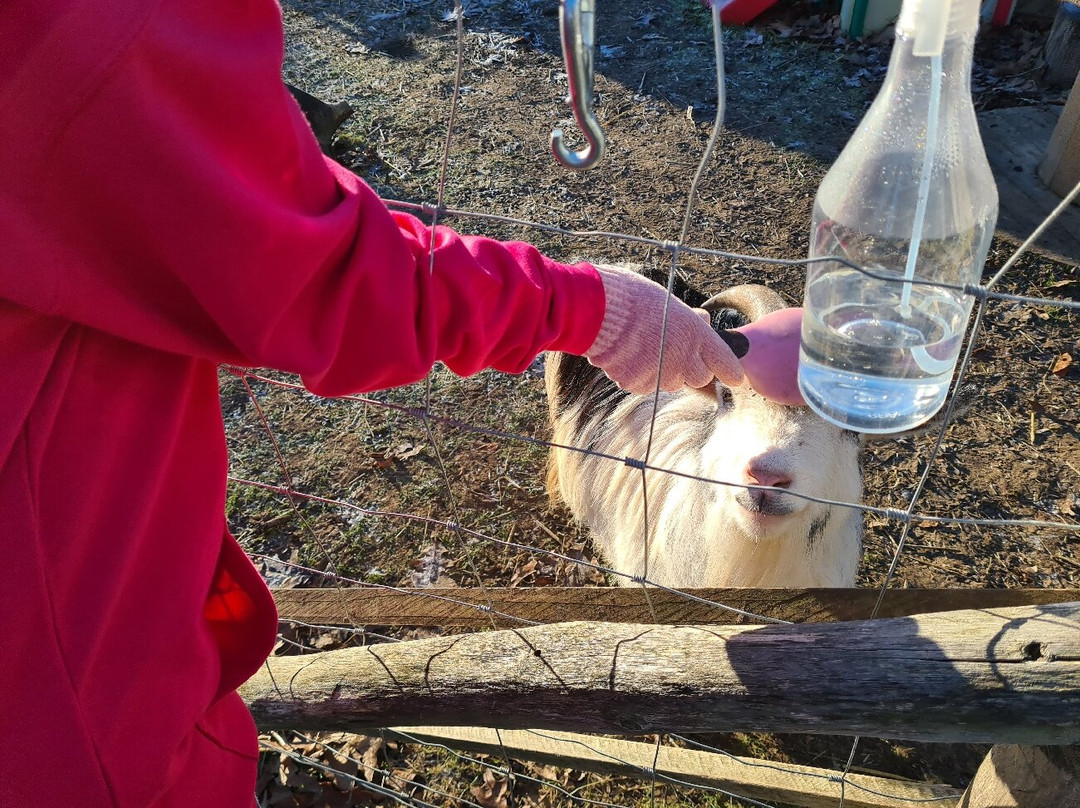 Huckleberry Woods-Faversham必去景点