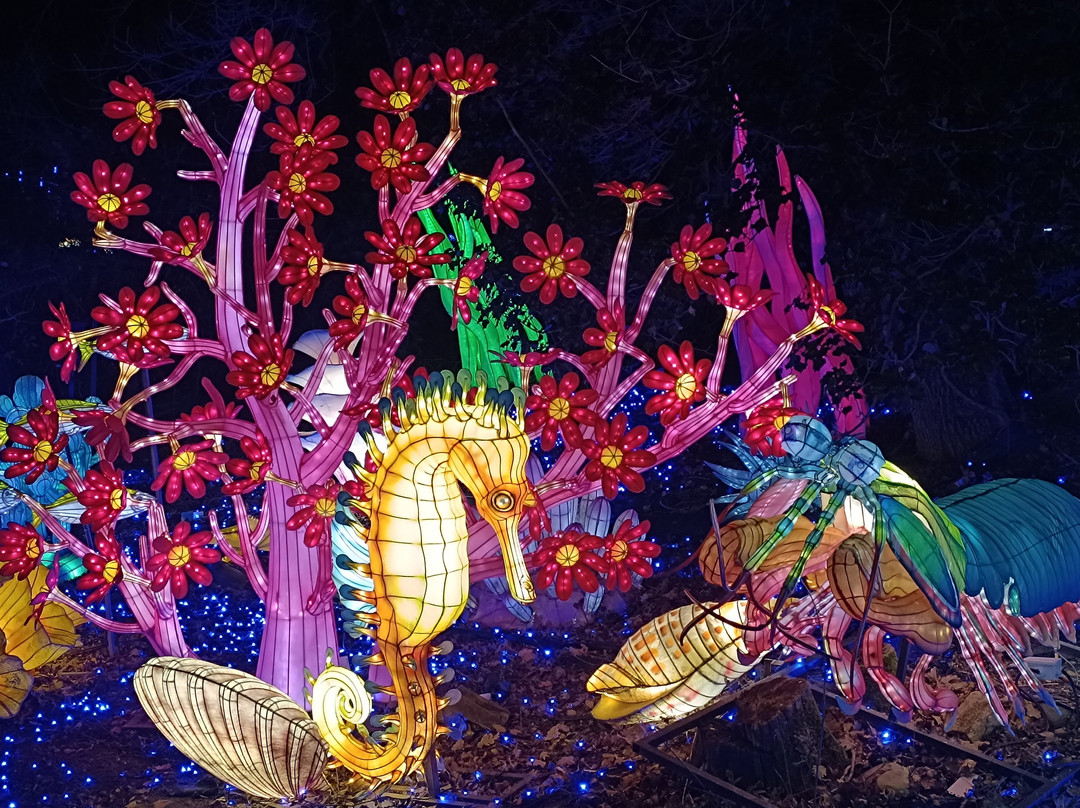 Safari De Peaugres-Peaugres必去景点