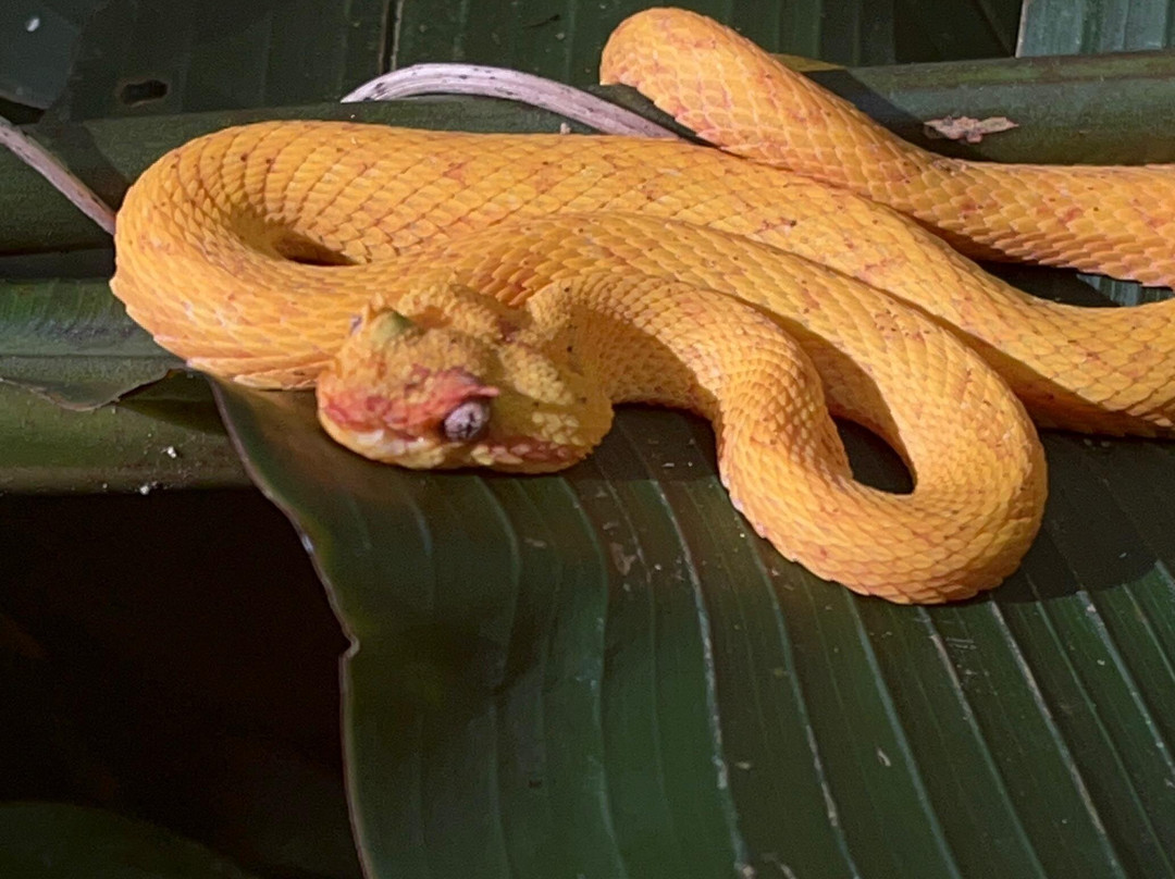 Abel Bustamante - Tour Guide-Manzanillo必去景点