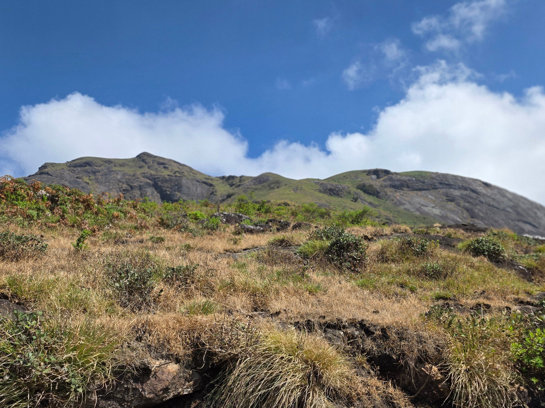 Kochi Taxi-柯钦必去景点