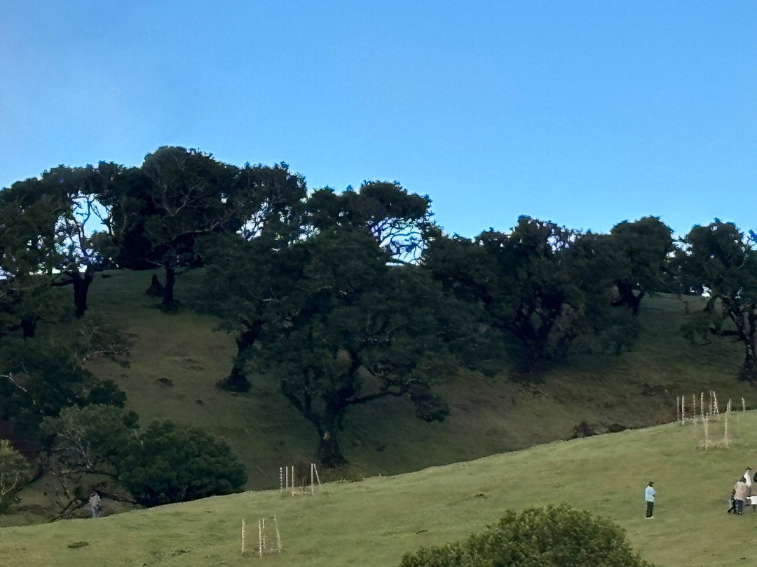 Posto Florestal Fanal-莫尼什港必去景点