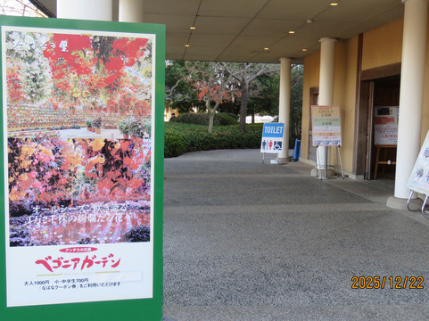 Begonia Garden-桑名市必去景点