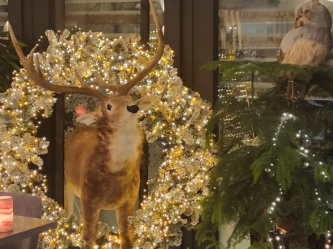 Le Mont Rigi Nature Hotel主图