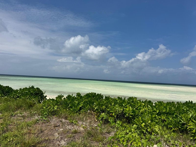Waldorf Astoria Seychelles Platte Island-官方