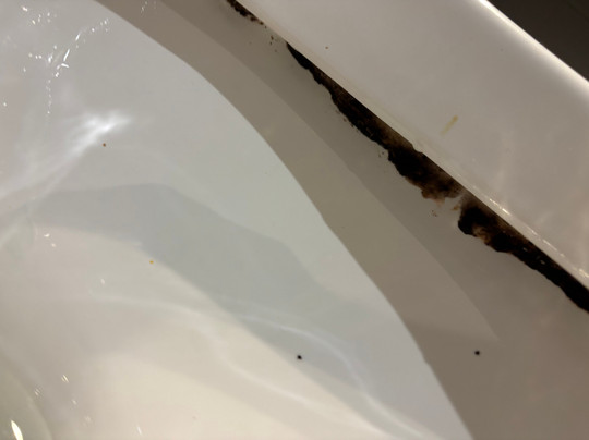 阿罗那酒店主图