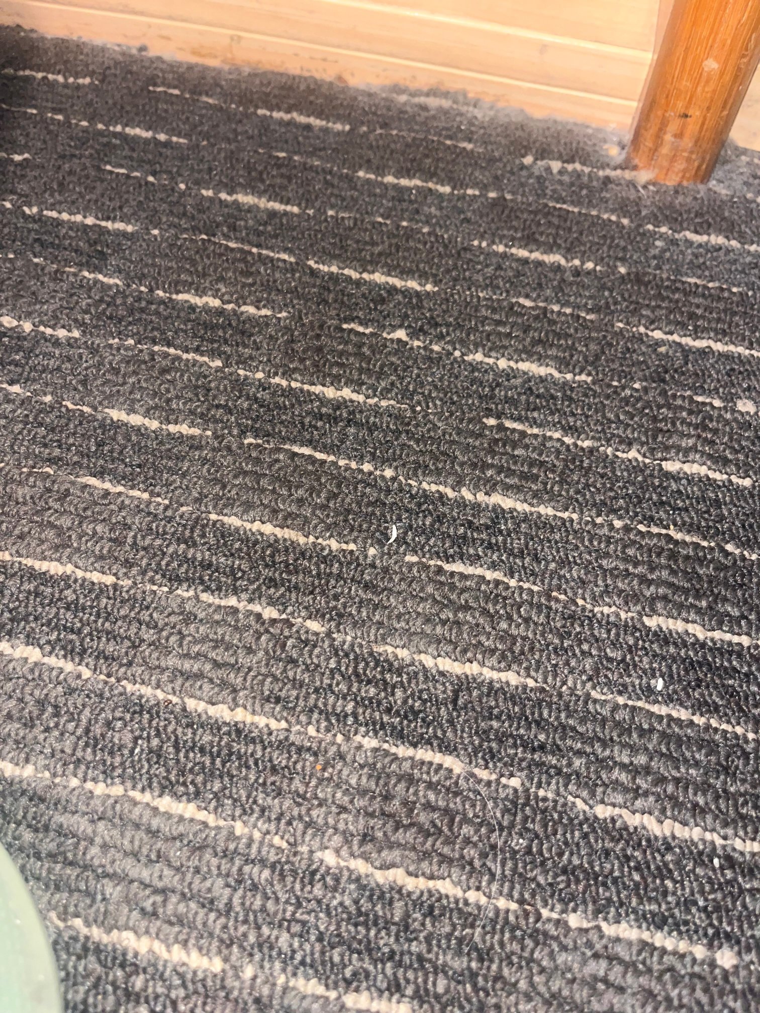 宜必思快捷纽卡斯尔酒店-官方