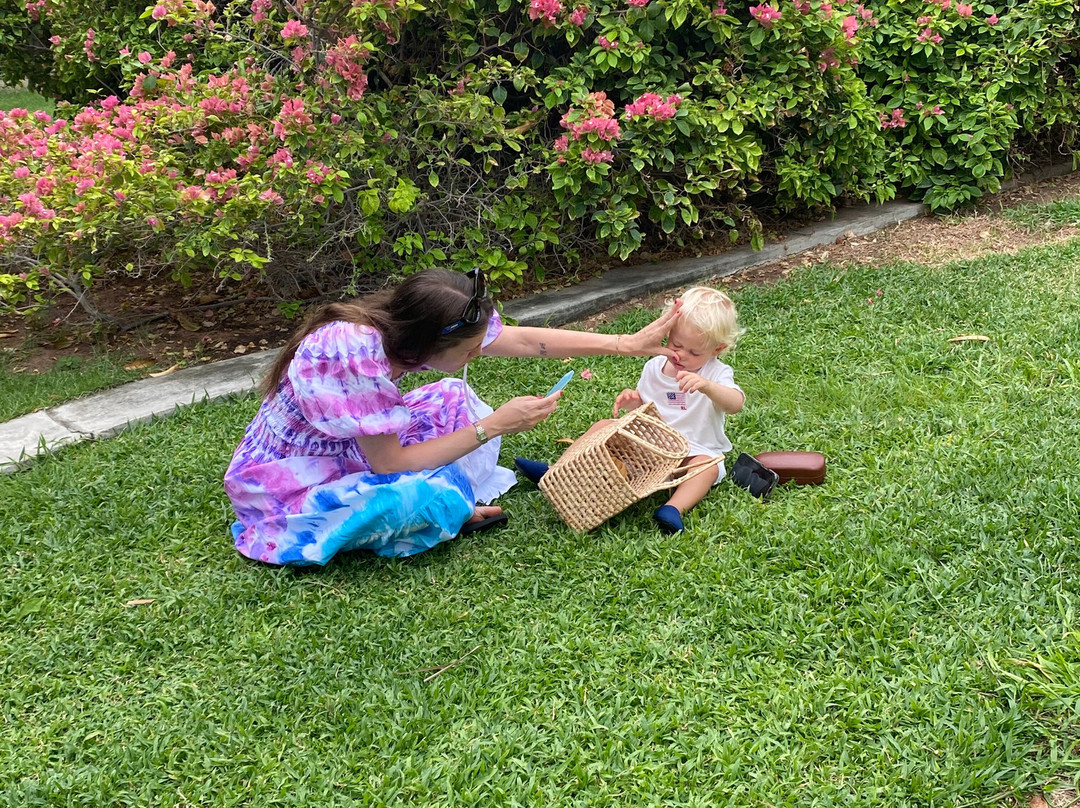 Transfer Fortaleza Tur-Porto Das Dunas必去景点