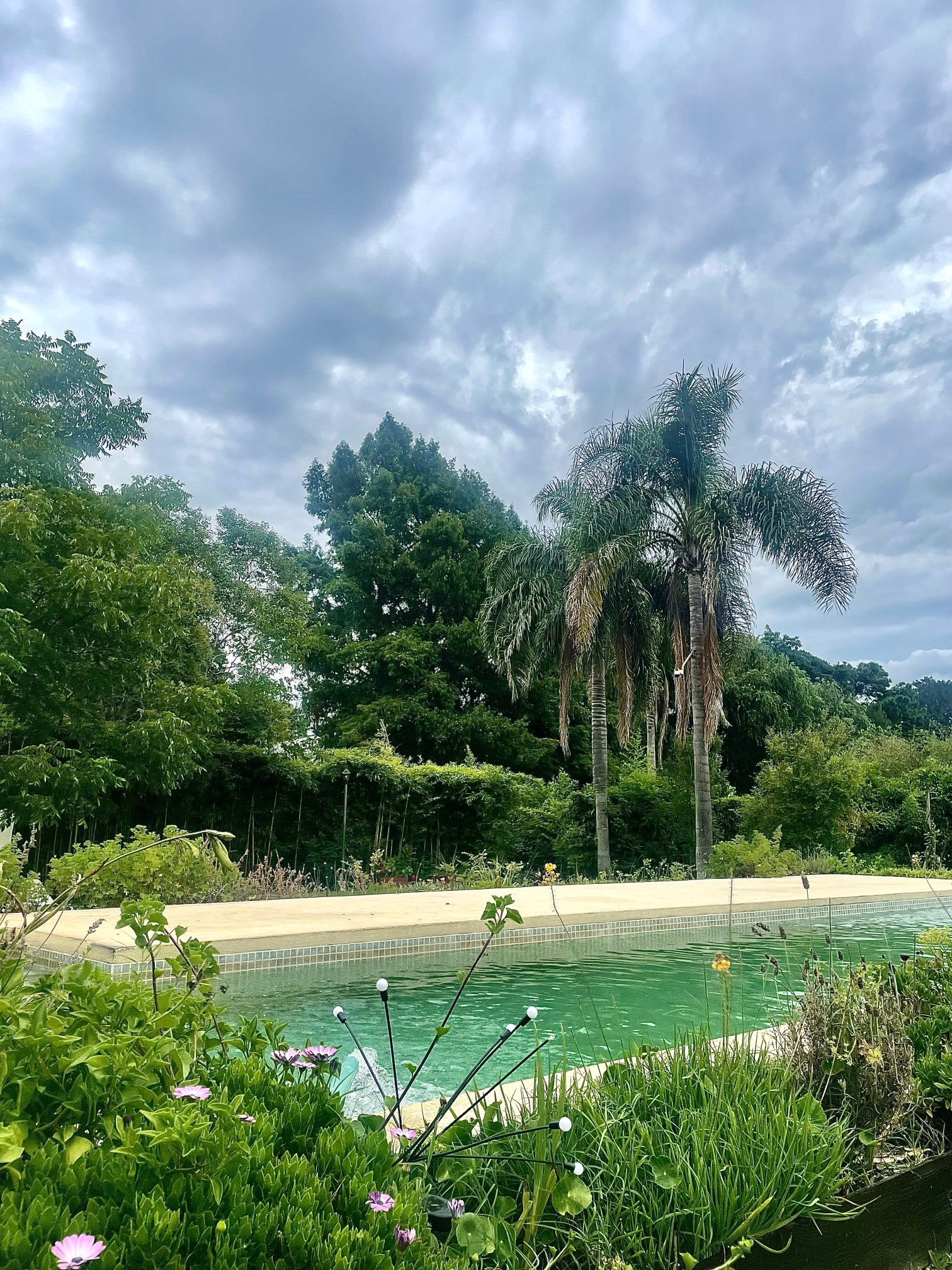 Senador Dupont-官方