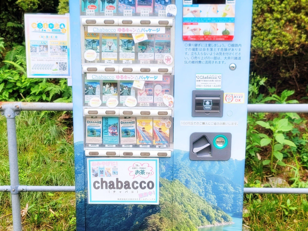 Okuoikojo Station-静冈市必去景点