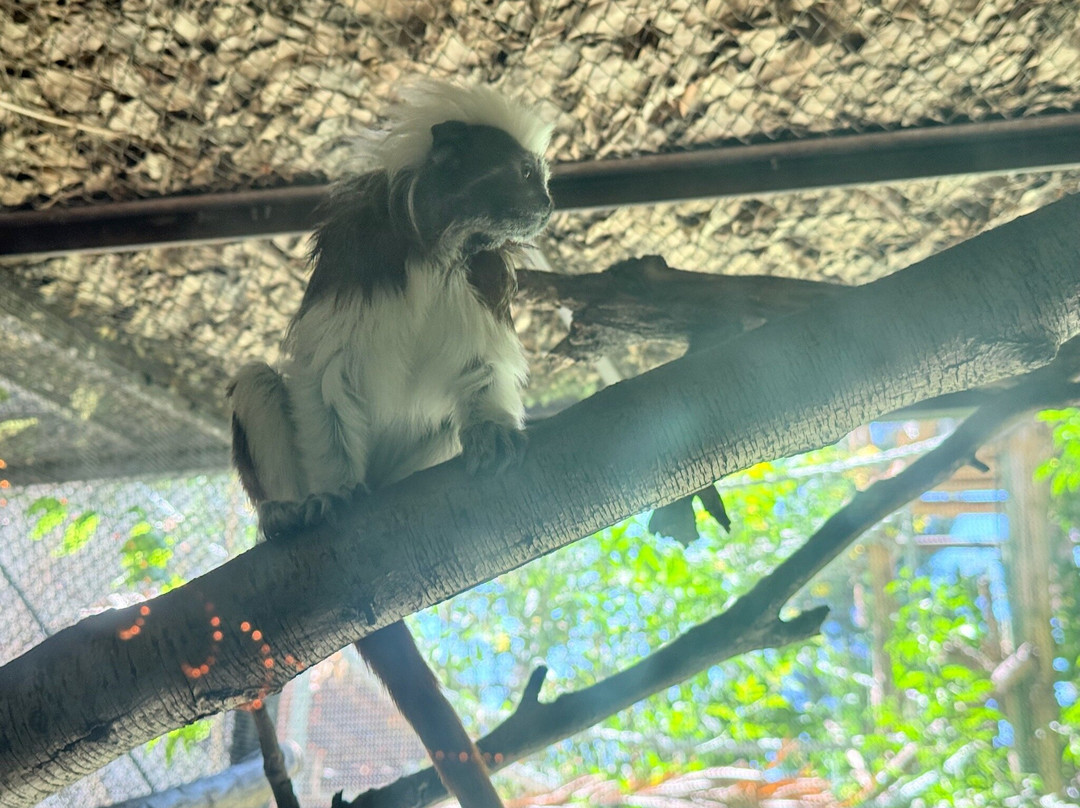 Buin Zoo-Buin必去景点