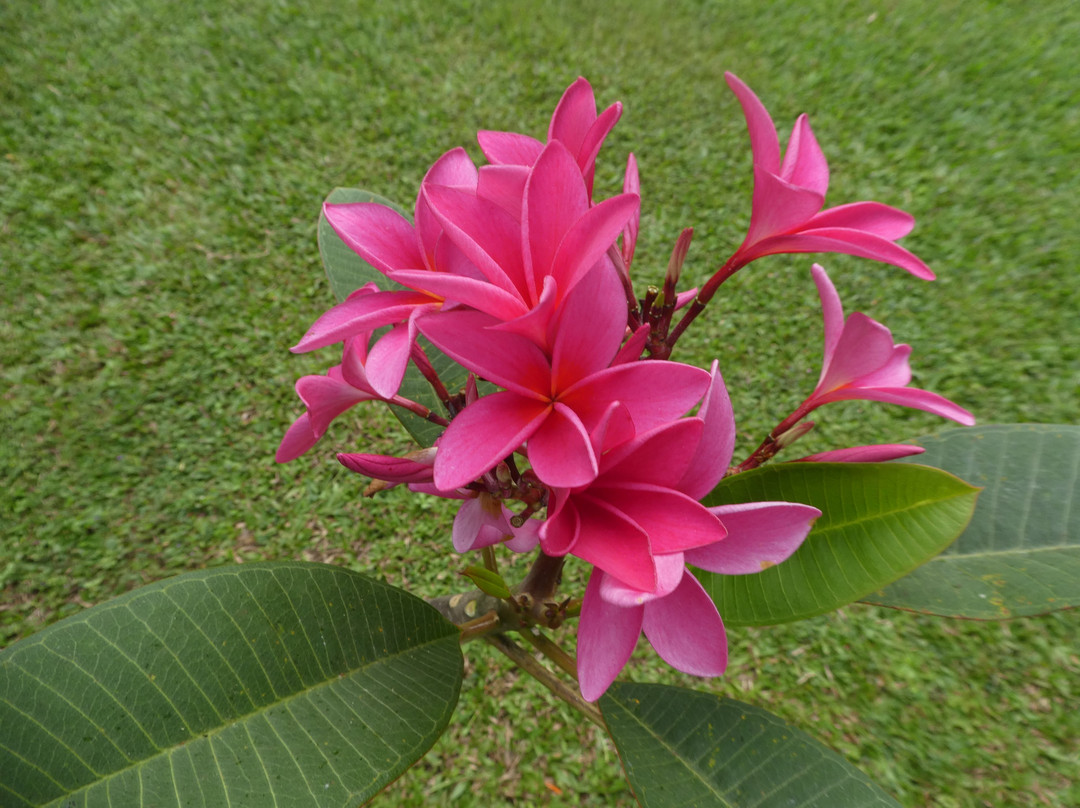 The Notary's House主图