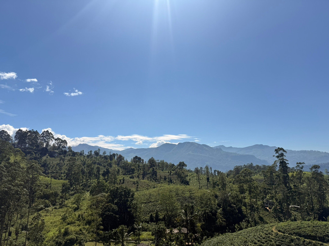 Best of Lanka-科伦坡必去景点