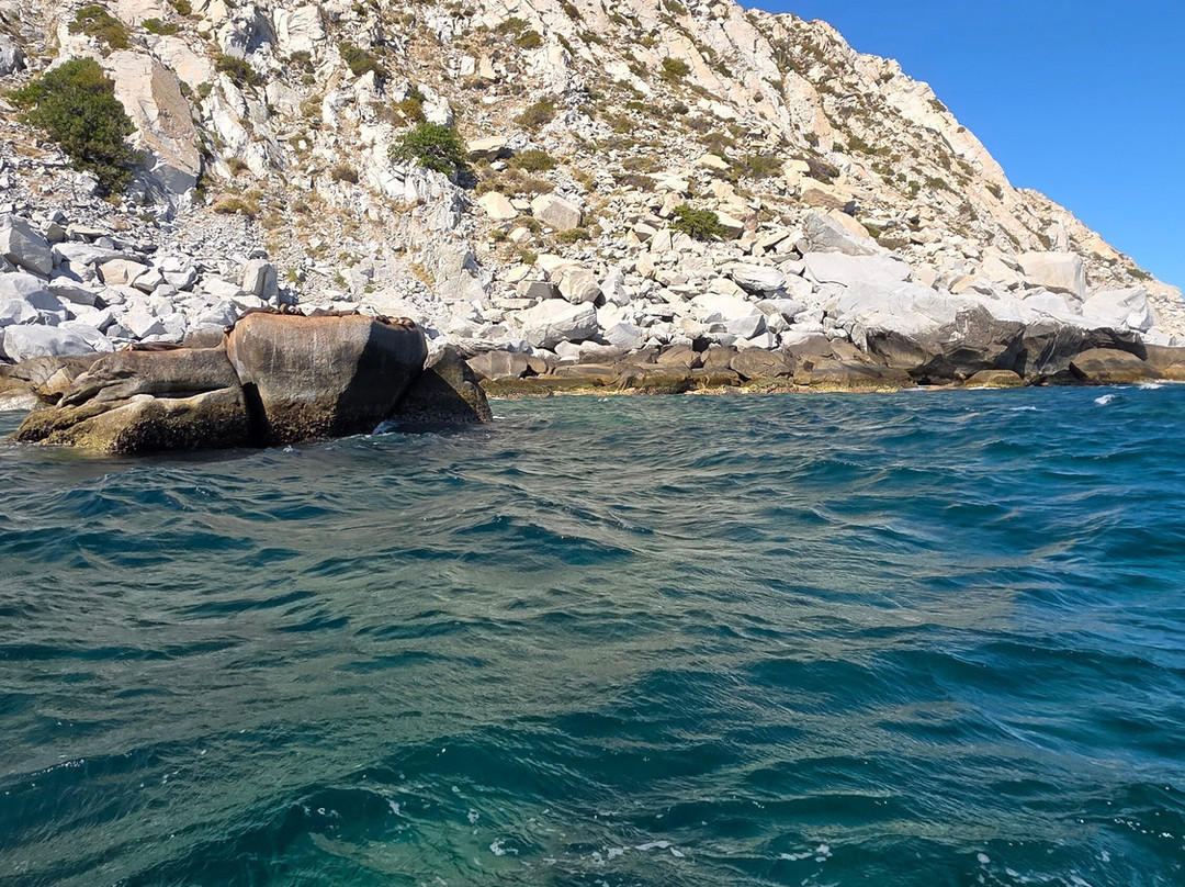 Cabo Pulmo Sport Center-Cabo Pulmo必去景点