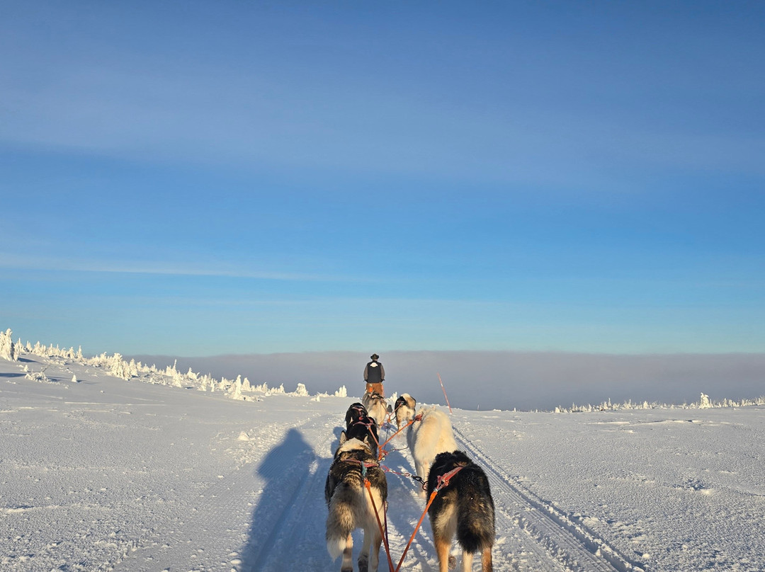 Fjallaventyr-Salen必去景点