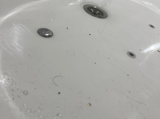 Forbes of Kingennie Country Resort-敦提必去景点