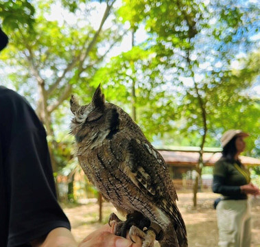 匹西拉高-Girardot必去景点