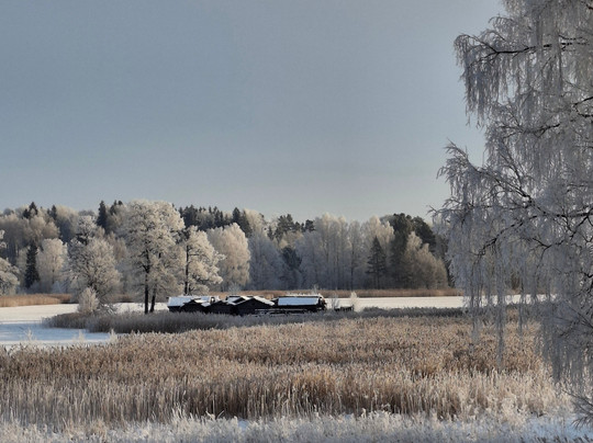 Āraiši ezerpils Archaeological Park-Cesis必去景点