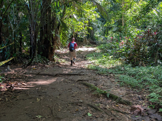 Gandoca - Manzanillo Wildlife Refuge-Province of Limon必去景点