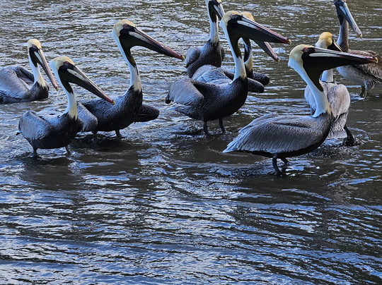 Bella Aventura Costa Rica-Santo Domingo de Heredia必去景点