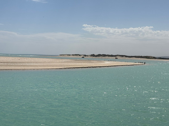 Spirit of the Coorong Cruises-Goolwa必去景点