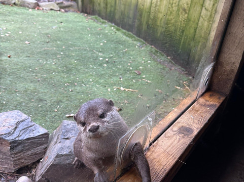 Exotic Zoo Wildlife Park + Natural History & Dino Museum-特尔福德必去景点