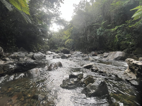 El Yunque Tours-Rio Grande必去景点