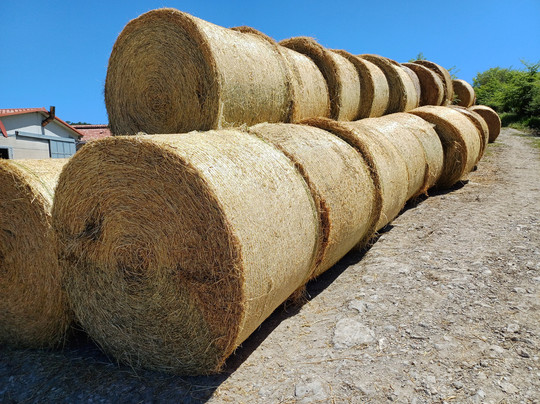 Via Francigena Tappa 36 San Quirico d'Orcia - Radicofani-圣奎里科多尔恰必去景点