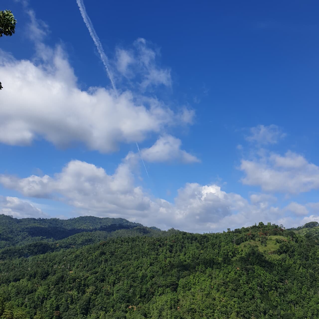 Santani Wellness Kandy-酒店景观