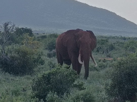 Kenya Watamu Safaris-瓦塔木必去景点