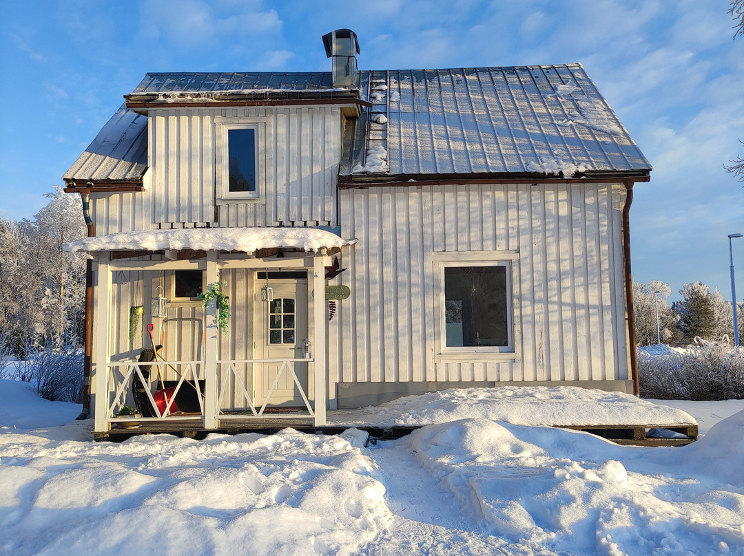 Openlappland-Amsele必去景点