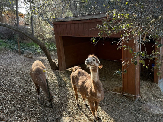 Wikiup Hummingbird Hotel主图