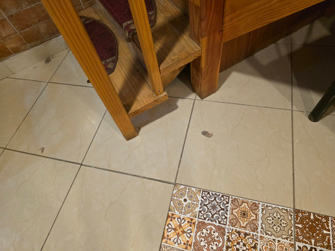 Hotel Mi Tampi主图