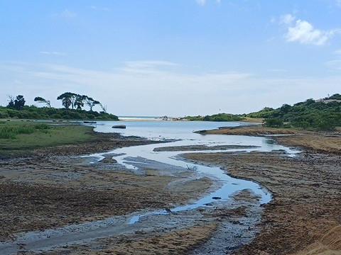 Freedom Safari Jeep Tours-蒂瑟默哈拉默必去景点