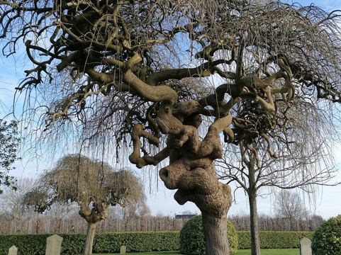 Enjoy Strandhotel Wemeldinge主图