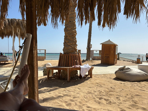 ORCA Dive Club Soma Bay-索马湾必去景点